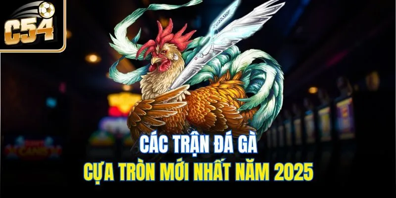 Các trận đá gà cựa tròn mới nhất năm 2025