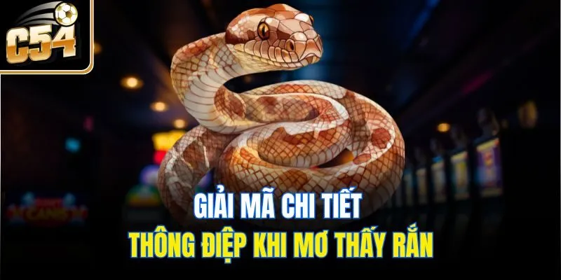 Giải mã chi tiết thông điệp khi mơ thấy rắn