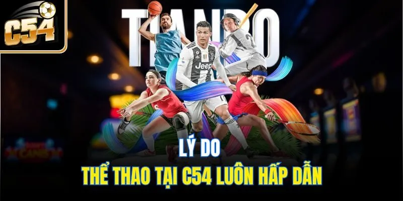 Lý do thể thao tại C54 luôn hấp dẫn