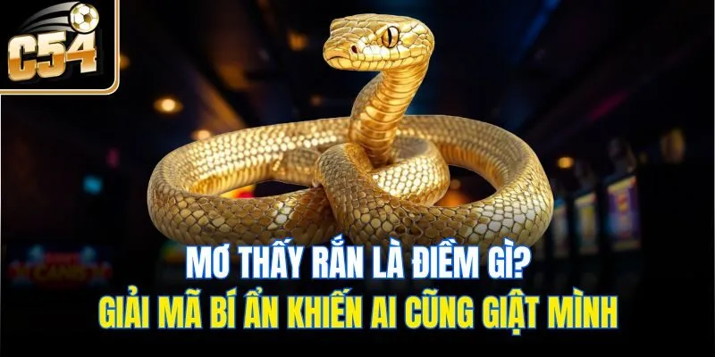 Mơ Thấy Rắn Là Điềm Gì? Giải Mã Bí Ẩn Khiến Ai Cũng Giật Mình