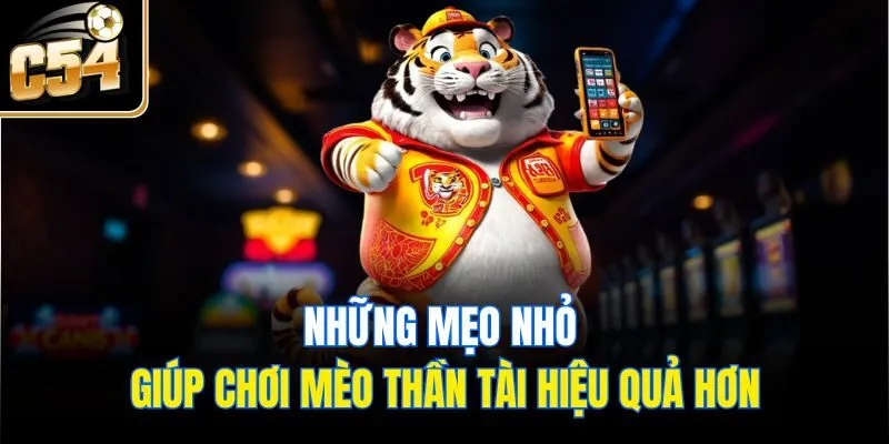 Những mẹo nhỏ giúp chơi mèo thần tài hiệu quả hơn