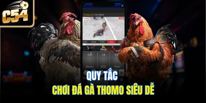 Quy tắc chơi đá gà Thomo siêu dễ