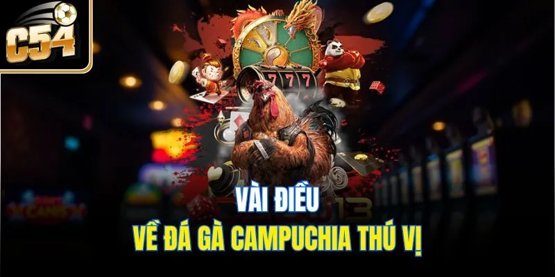 Vài điều về đá gà Campuchia thú vị
