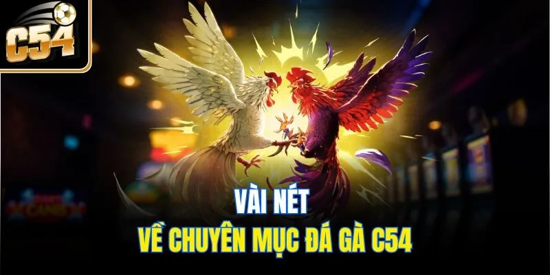Vài nét về chuyên mục đá gà C54